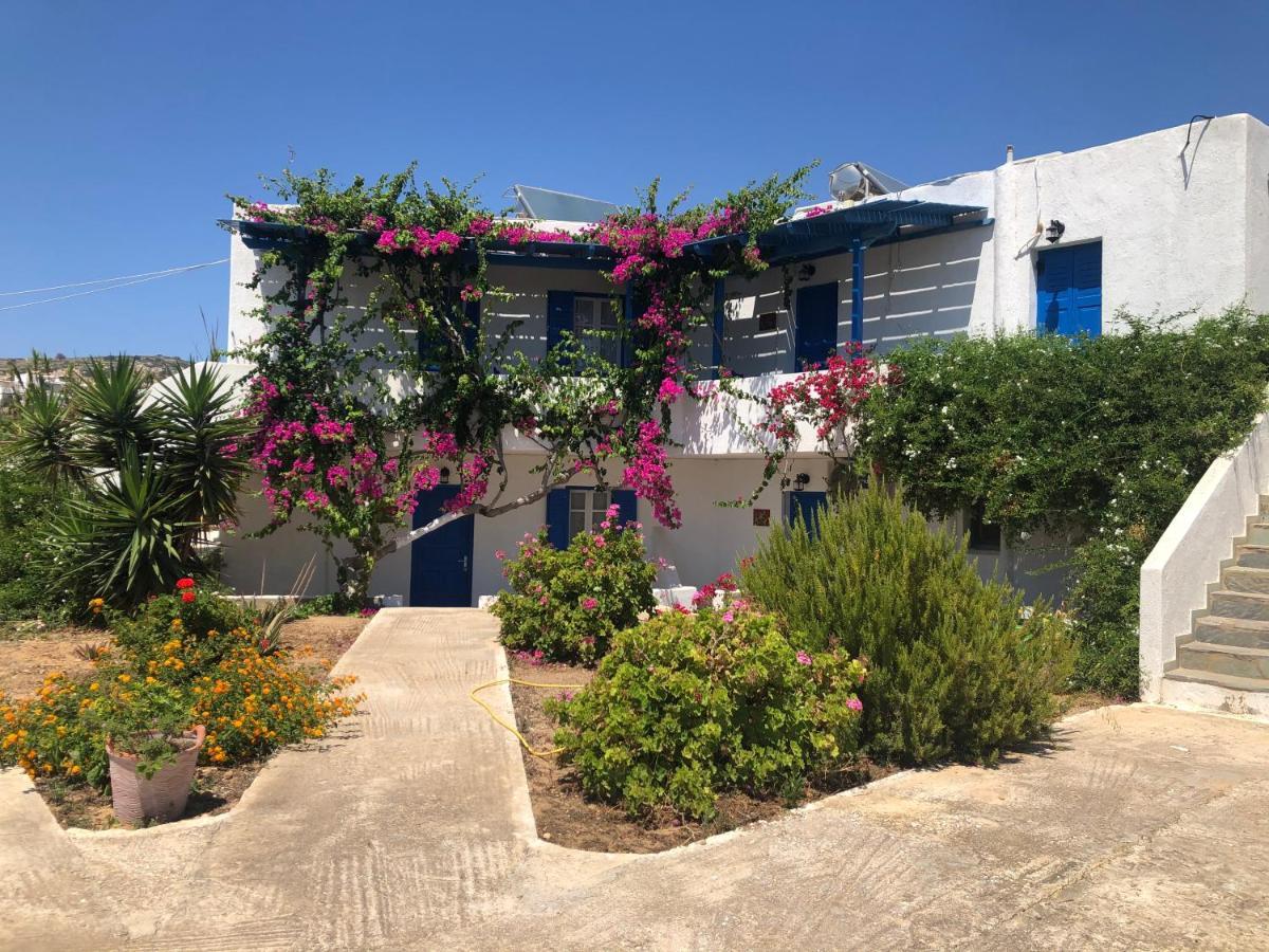 Firoa Studios دونوسا المظهر الخارجي الصورة