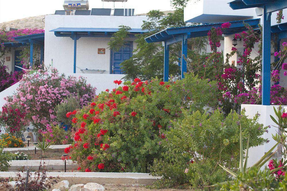 Firoa Studios دونوسا المظهر الخارجي الصورة