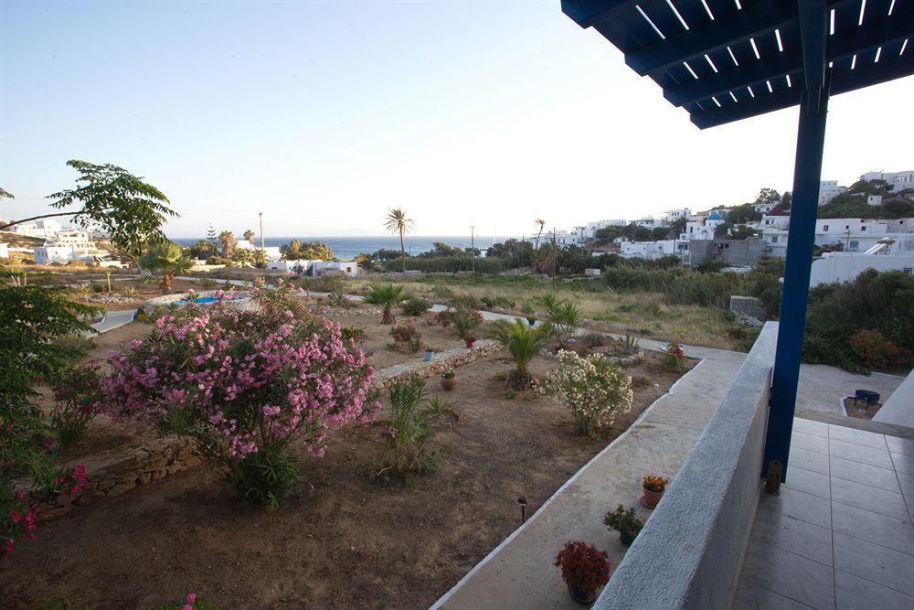 Firoa Studios دونوسا المظهر الخارجي الصورة