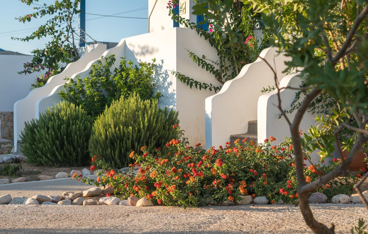 Firoa Studios دونوسا المظهر الخارجي الصورة