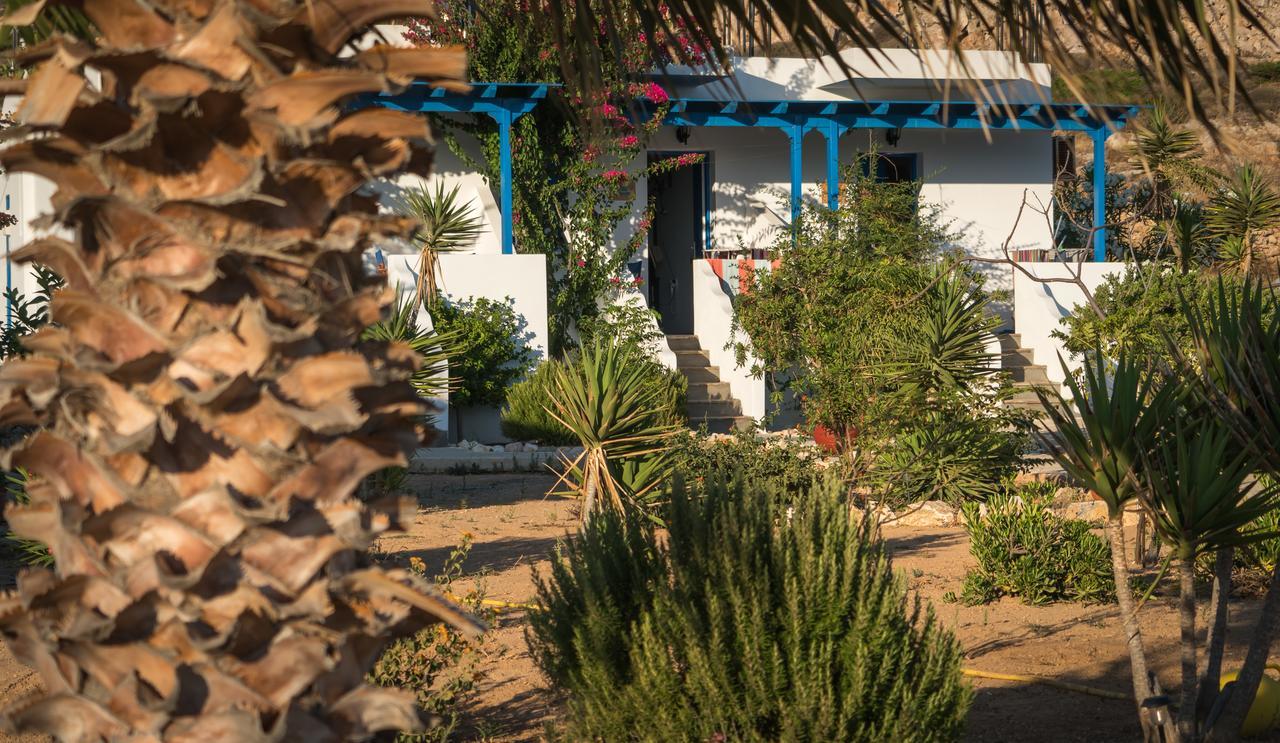 Firoa Studios دونوسا المظهر الخارجي الصورة