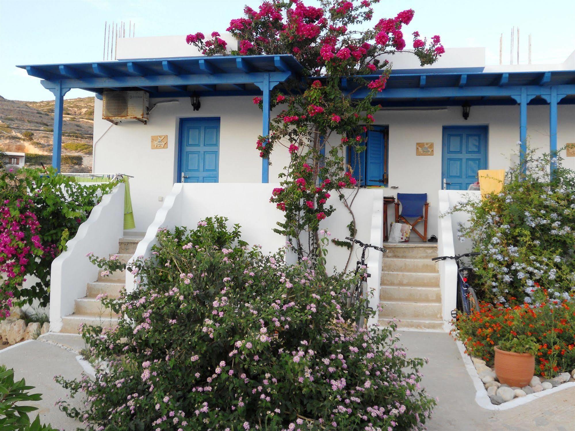 Firoa Studios دونوسا المظهر الخارجي الصورة