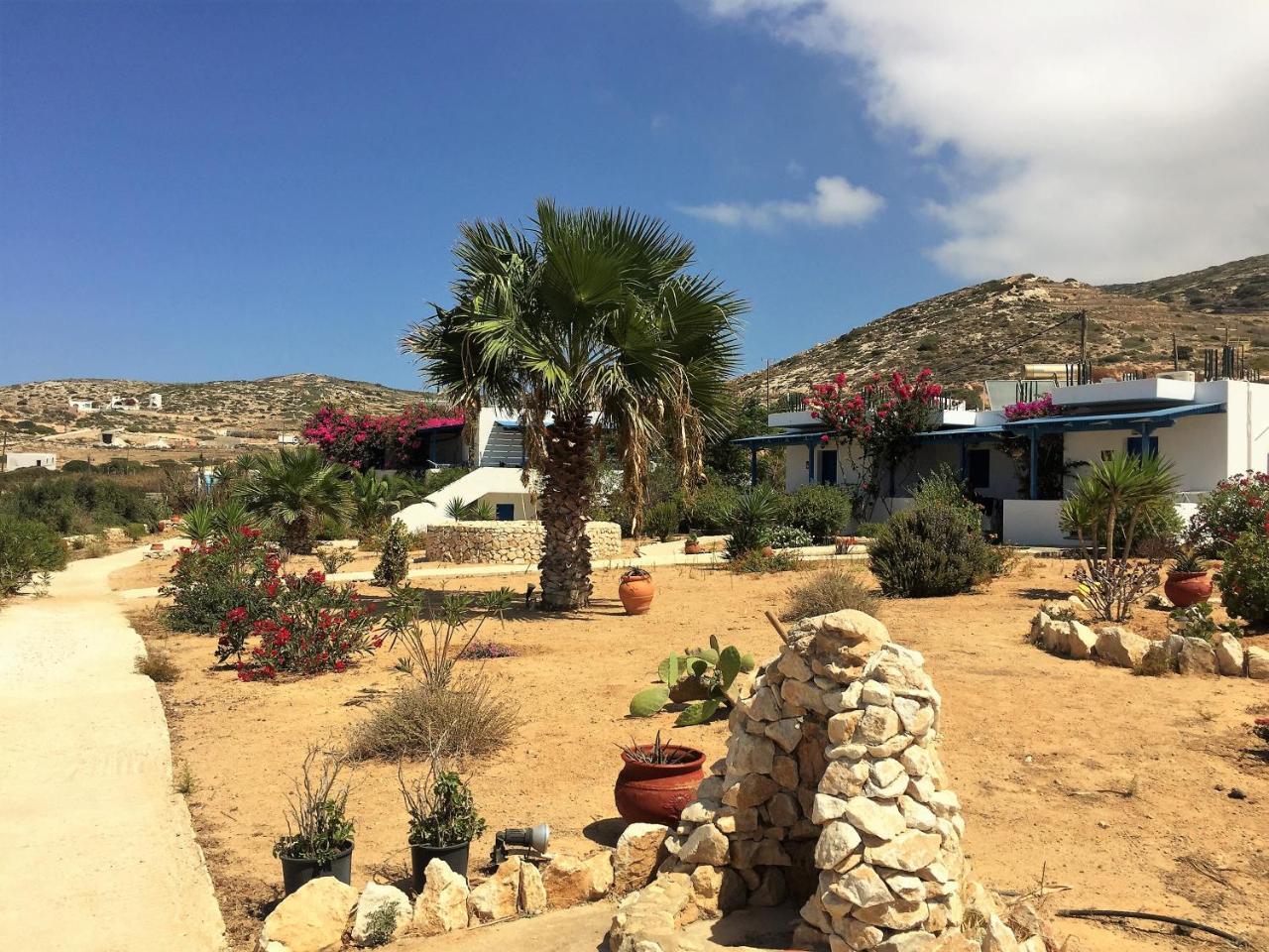 Firoa Studios دونوسا المظهر الخارجي الصورة