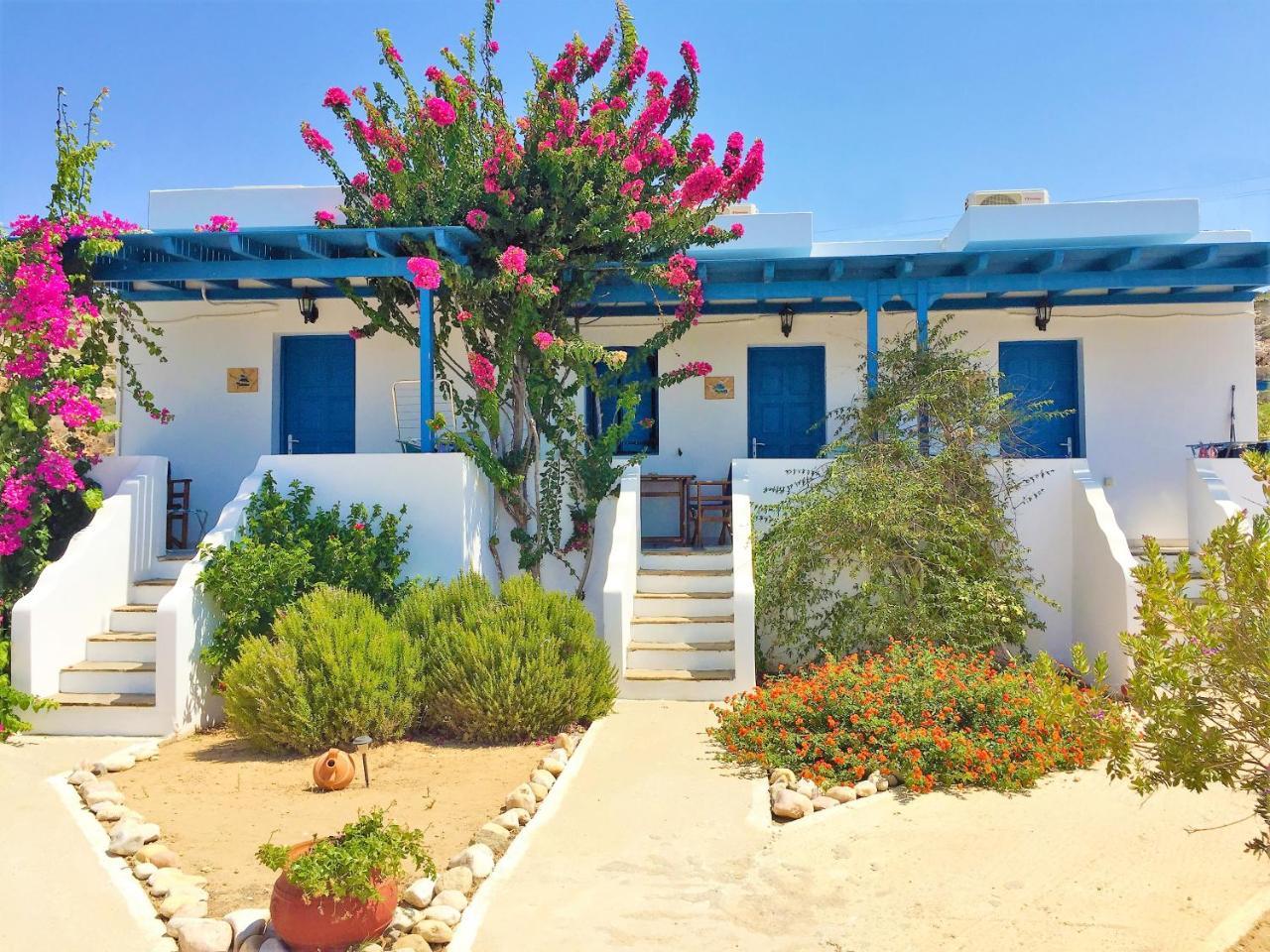 Firoa Studios دونوسا المظهر الخارجي الصورة